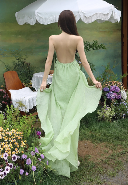 Vintage A-Line High-Slit Ruffles Trim Maxi Dress Dreamy 3D Floral Accent Backless Halter Long Dress AP3517