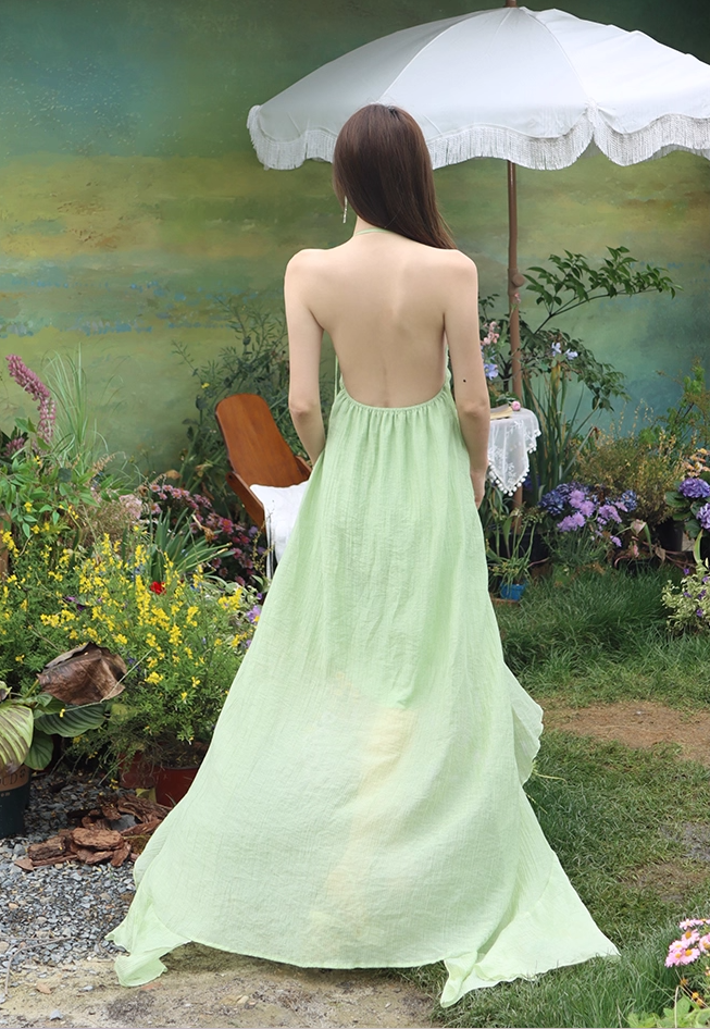 Vintage A-Line High-Slit Ruffles Trim Maxi Dress Dreamy 3D Floral Accent Backless Halter Long Dress AP3517
