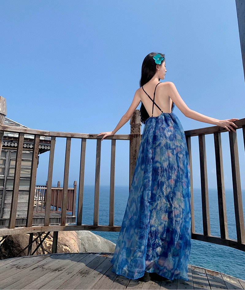 Sweet A-Line Spaghetti Straps Floral Print Maxi Dress Dreamy Flowy Crisscross Back Vacays Outfit Long Dress AP3519