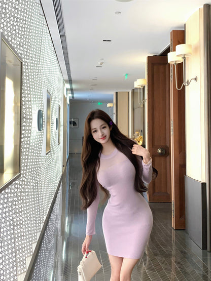 Trendy Bodycon Knitted Jewel Neck Mini Dress Sweet Long Sleeve Minimalism Short Dress AP3644