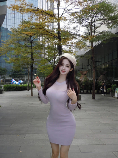 Trendy Bodycon Knitted Jewel Neck Mini Dress Sweet Long Sleeve Minimalism Short Dress AP3644