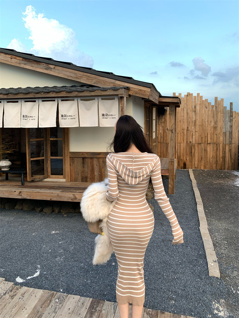 Charming Stripe Hooded V Neck Long Sleeve Maxi Dress Fashionable Zipper Design Sheath Long Dress AP3715