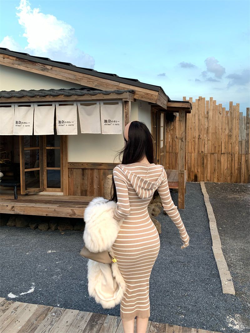 Charming Stripe Hooded V Neck Long Sleeve Maxi Dress Fashionable Zipper Design Sheath Long Dress AP3715