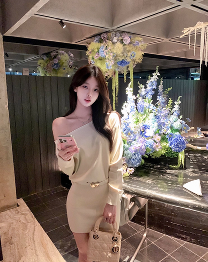 Vintage Long Sleeve Sheath Mini Skirt Hottie Outfit Asymmetric Neckline Flexible Knitted Short Dress AP3761