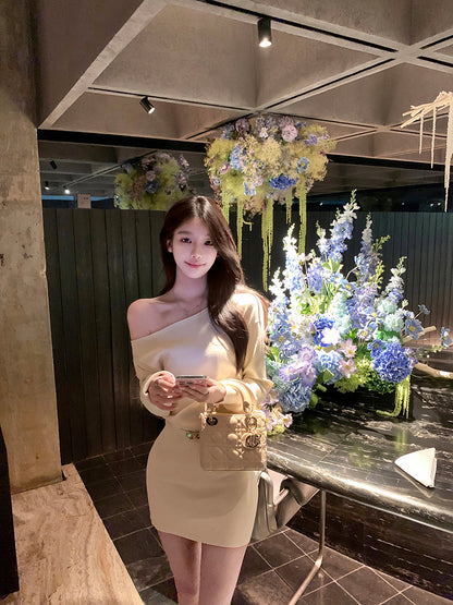 Vintage Long Sleeve Sheath Mini Skirt Hottie Outfit Asymmetric Neckline Flexible Knitted Short Dress AP3761