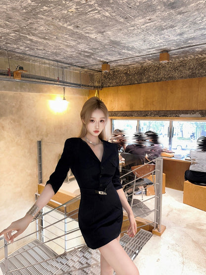 Fantastic Long Sleeve V Neck Mini Skirt Simple Cinched-Waist Sheath Short Dress AP4028