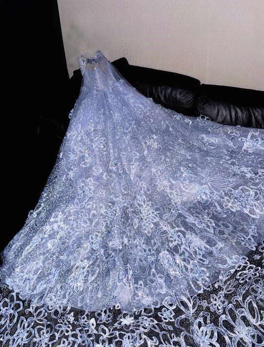 Refined A-Line Spaghetti Strap Splicing Tulle Sweet 16th Evening Dresses Sequins Appliques Prom Dress AP4422