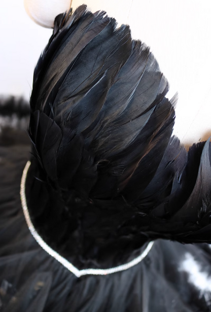 Graceful A-Line Strapless Birthday Dresses Feather Beading Black Ruffled Tulle Homecoming Dress AP4732