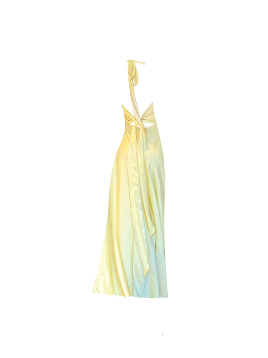 Maximalism Halter Neck Cinched Bodice Backless Cutout Maxi Dress Elegant Pale Yellow A-Line Long Dress AP4840