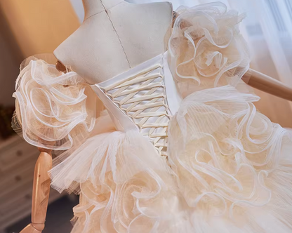 Ornate Off-Shoulder A-Line Tiered Tulle Sweet 16th Dresses Handmade Flowers Prom Dress AP5268