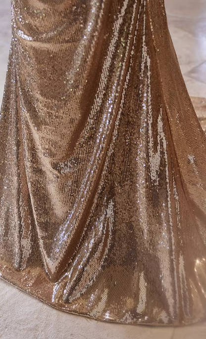 Elegant Strapless Evening Mermaid Dress With Shawl Sequins Prom Dress AP5358
