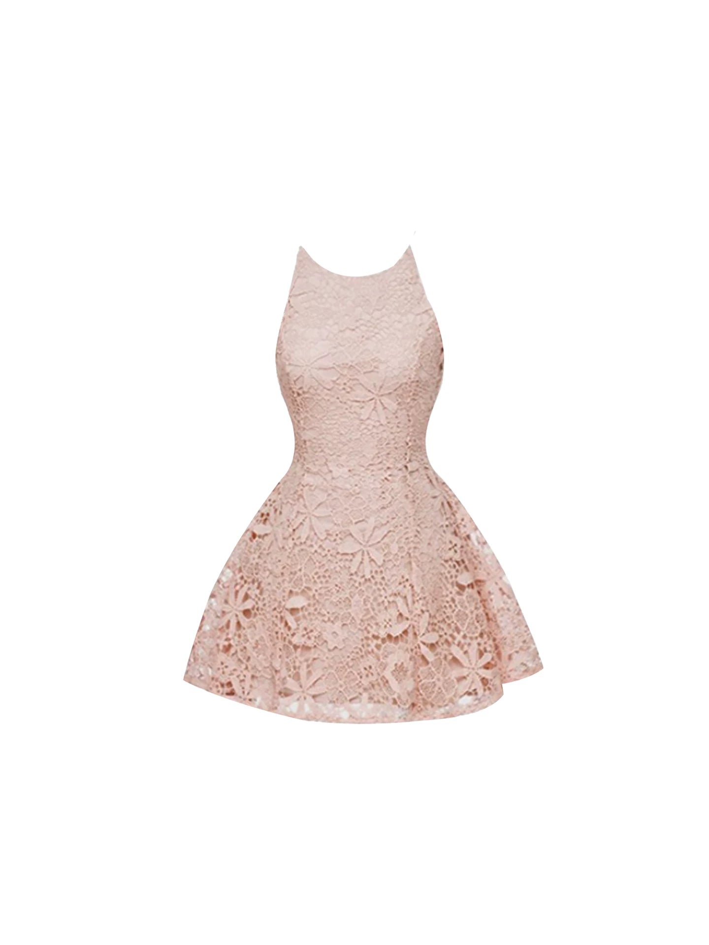 French Style All-Over Floral Lace A-Line Mini Skirt Adorable Blush Pink Jewel Neck Fitted Bodice Flared Short Dress AP5784