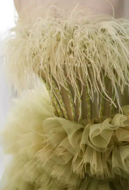 Splendid Strapless A-Line Sweet 16th Gowns Ruffles Tulle Feather Prom Dress AP5825