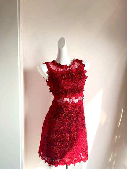 Sexy Jewel Neck Sheath Birthday Gowns Appliques Red Homecoming Dress AP6041