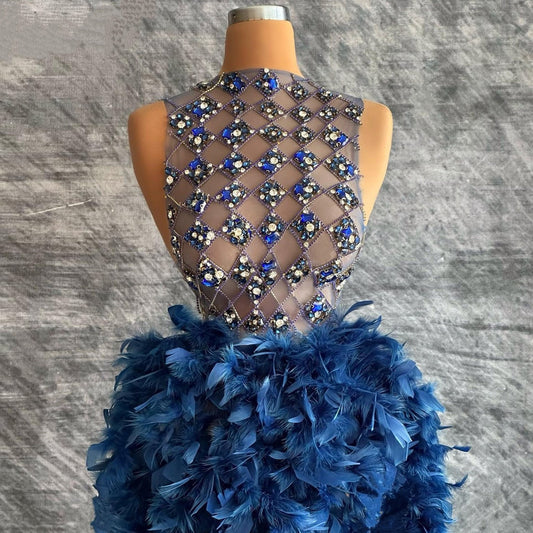 Sexy Sheath Jewel Neck Sleeveless Evening Dresses Crystals Feather Prom Dress AP6452