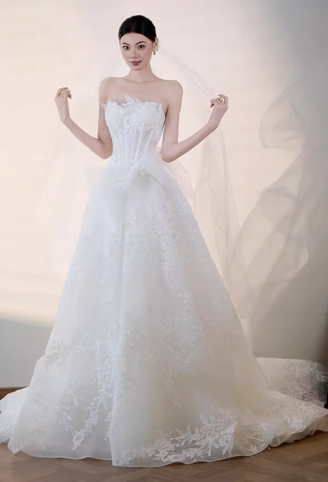 Fabulous Strapless A-Line Wedding Dress Inspo Appliques Sequins Bridal Gowns AP6911