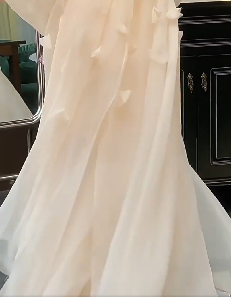 Fairy Off-Shoulder Bodice Wedding Dress Appliques A-Line Tulle Bridal Dress AP6961