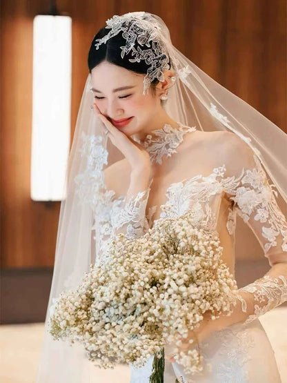 Wonderful Illusion Neck Long Sleeve Wedding Dress With Veil Lace Mermaid Bridal Dress AP6968