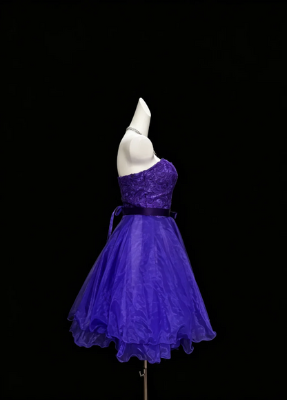 Rich Dark Purple Strapless Lace Bodice Satin Waist Tie Bow Multi-Tier Floating Organza Short A Line Homecoming Dress AS1041
