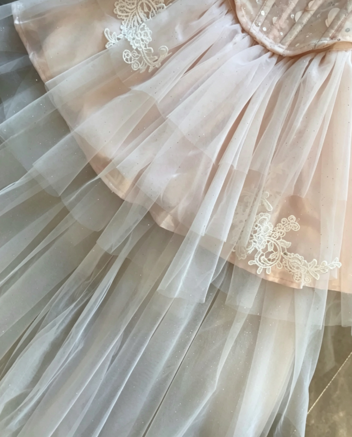 Chic Two-Tier Light Pink Off Shoulder Corset 3D Floral Lace Applique Overlay Asymmetric Long Tulle Tail Tulle Short A Line Homecoming Dress AS1087