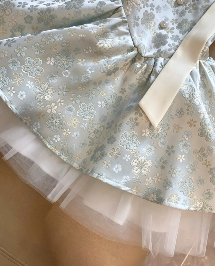 Romantic Mint Green Spaghetti Strap Lace Trim Bodice Bow Accent Floral Jacquard Stain Tulle Underskirt A Line Short Homecoming Dress AS1093