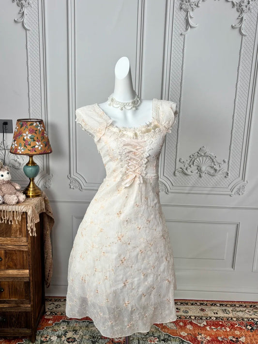Chic Ivory Lace Square Neck Cap Sleeve Corset Lace‑Up Front Floral Embroidery A‑Line Short Homecoming Dress AS2384