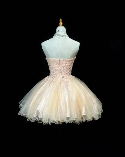 Elegant Blush Pink Sweetheart Beaded Lace Appliques Tulle A-Line Short Homecoming Dress AS2588