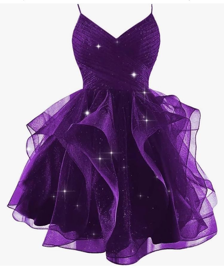 Enchanting Deep Purple Glitter Tulle Spaghetti Straps Tiered Ruffle A Line Short Homecoming Dress AS789