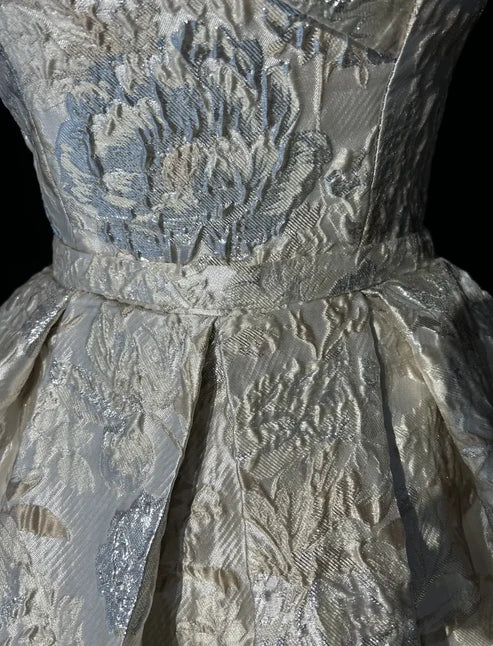 Regal Champagne Silver Off-The-Shoulder Jacquard A Line Short Homecoming Dress AS808