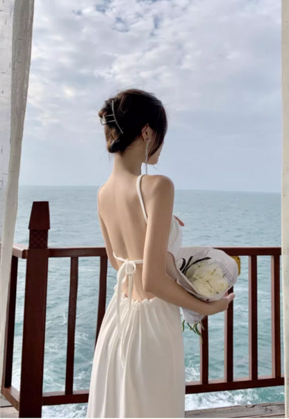 New Stylish White Sleeveless Backless Beach Spaghetti Strap Dress  AP0255