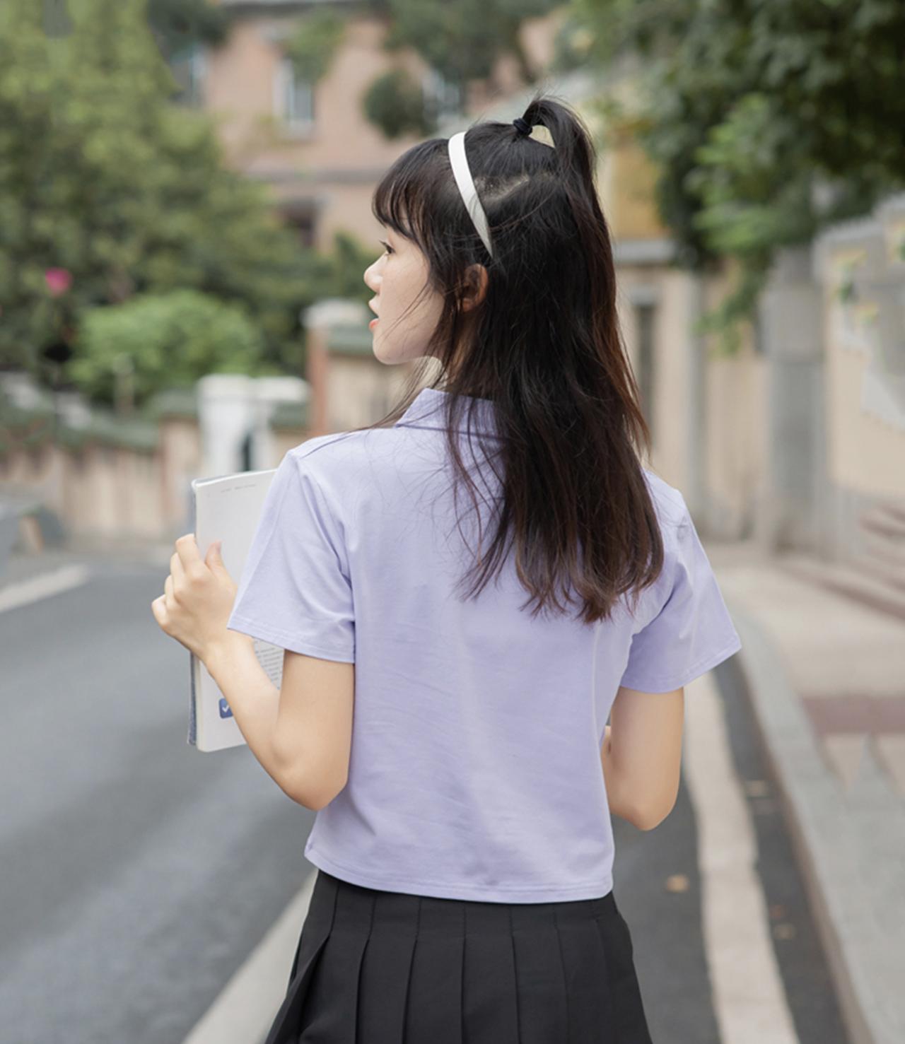 Cute Short Polo Neck High-waist Short-sleeved T-shirt AP000172