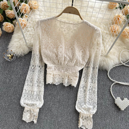 V-neck Lace Long Sleeve Shirt AP00024